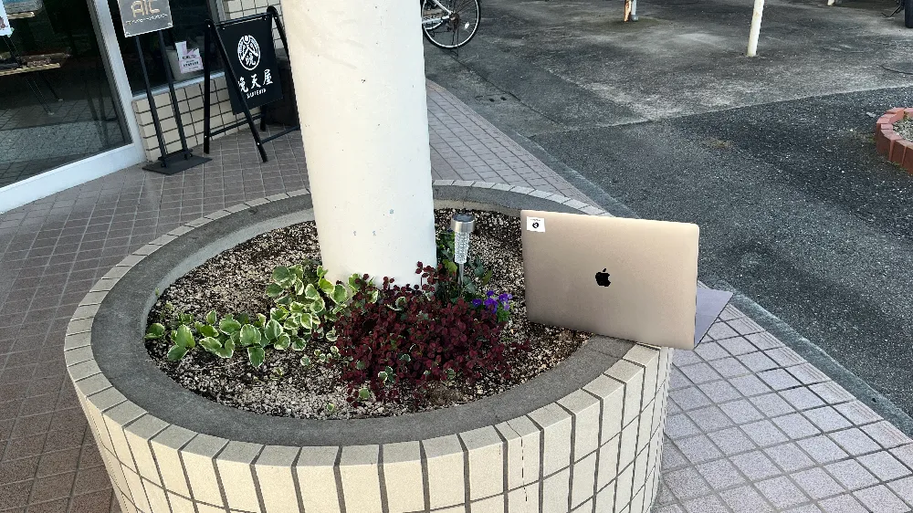 blog